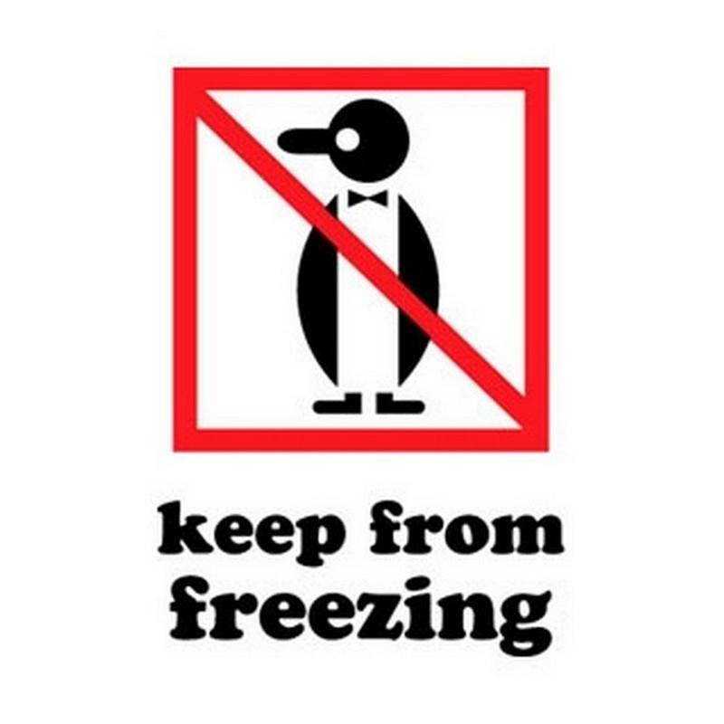 3" x 4" Keep From Freezing Labels (500 per Roll)