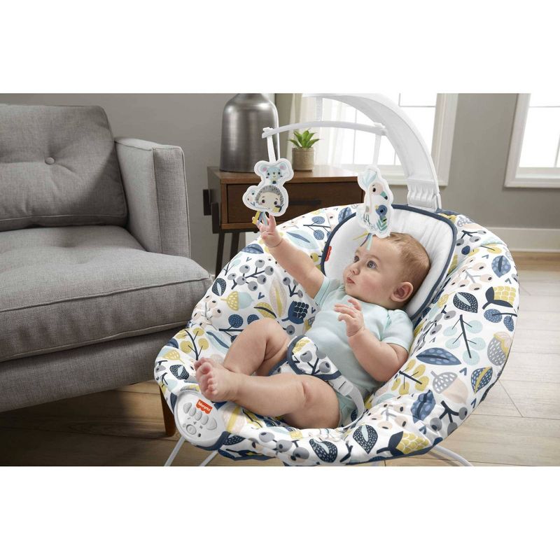 ​Fisher-Price Baby Bouncer