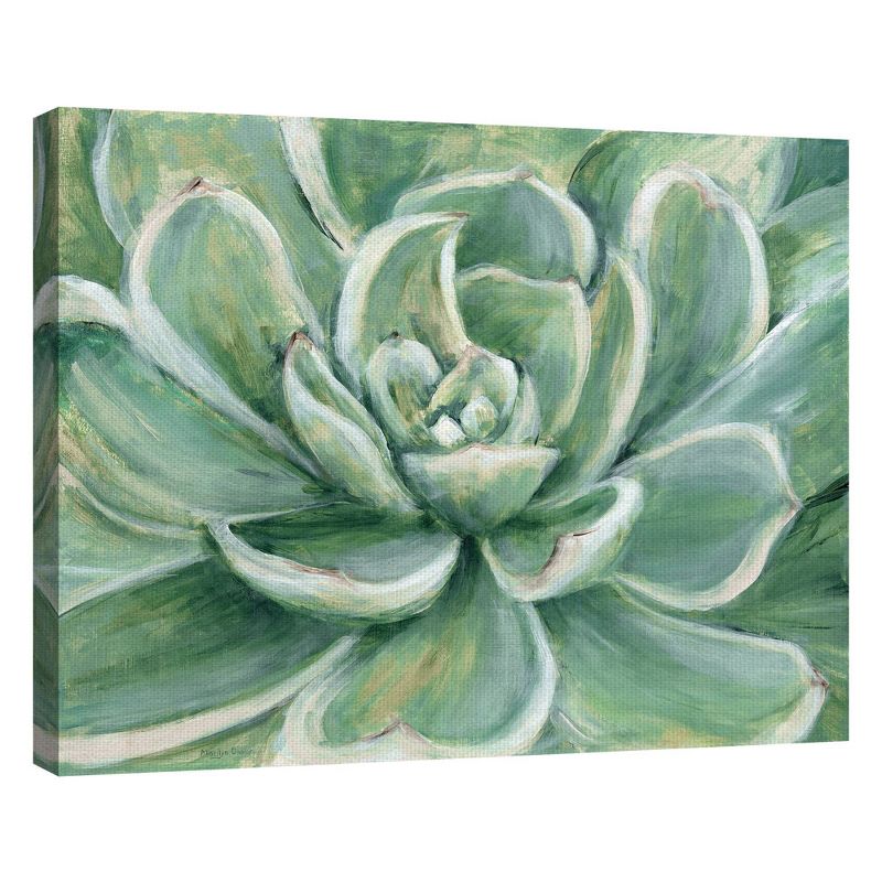 22" x 28" Succulent by Marilyn Dunlap Art on Canvas - Fine Art Canvas