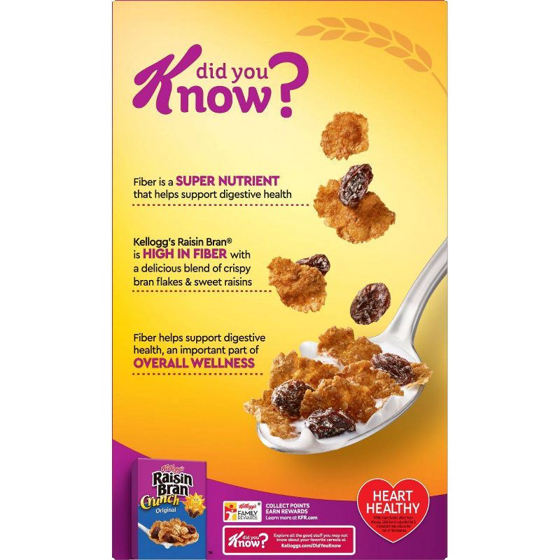 Raisin Bran Breakfast Cereal - 24oz - Kellogg's