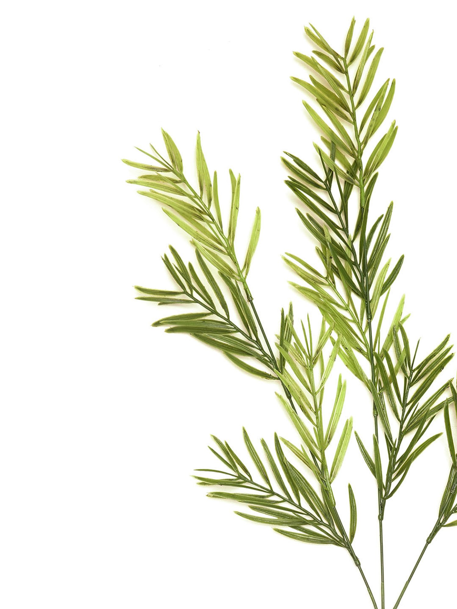 Pure Home and Living Green Polyester Green Stems