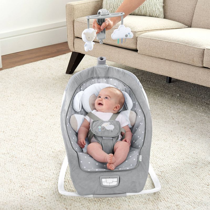 ​Fisher-Price Baby Bouncer