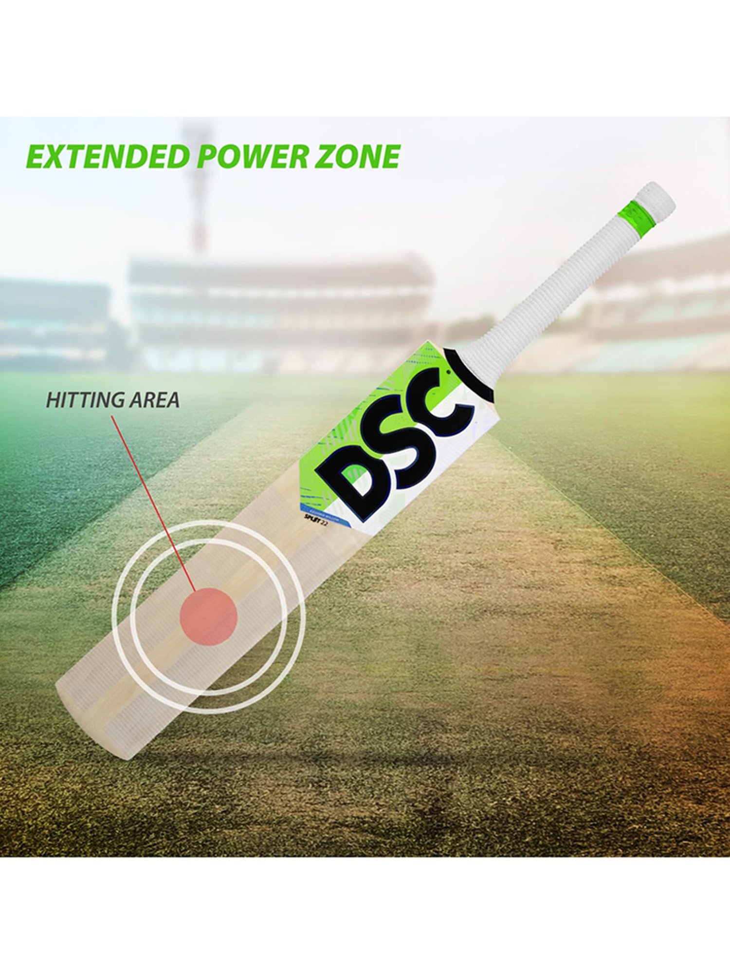 DSC Spliit 22 Kashmir Willow Cricket Bat Size - 5
