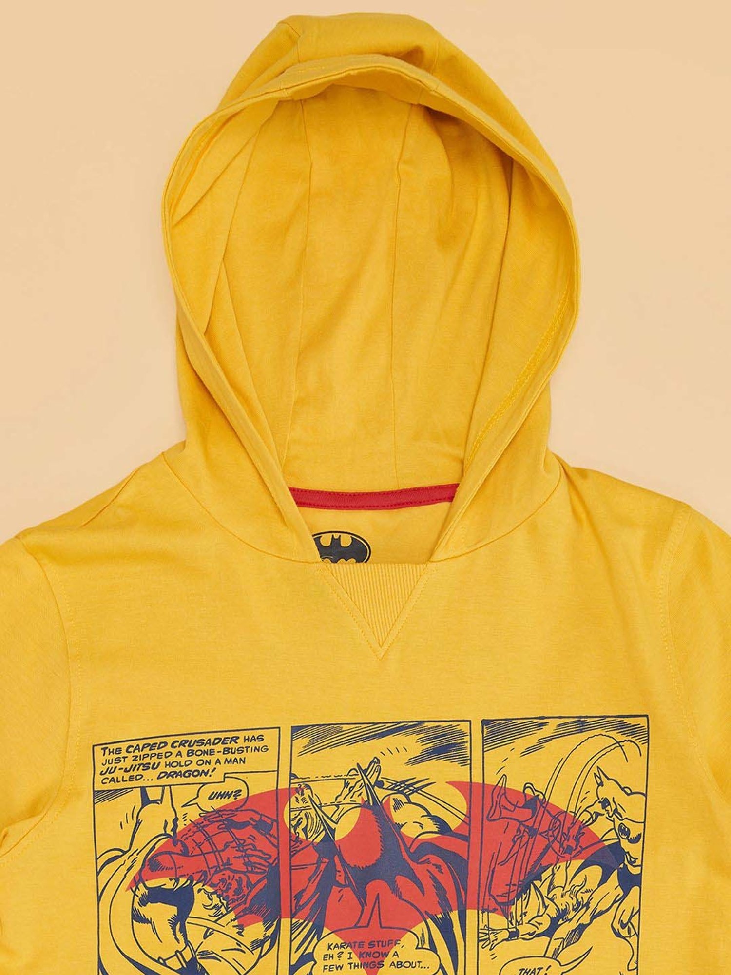 Pantaloons Baby Kids Dandelion Cotton Regular Fit T-Shirt