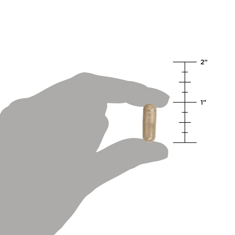 Vitafusion Men's Multivitamin Dietary Supplement Gummies - Berry - 150ct