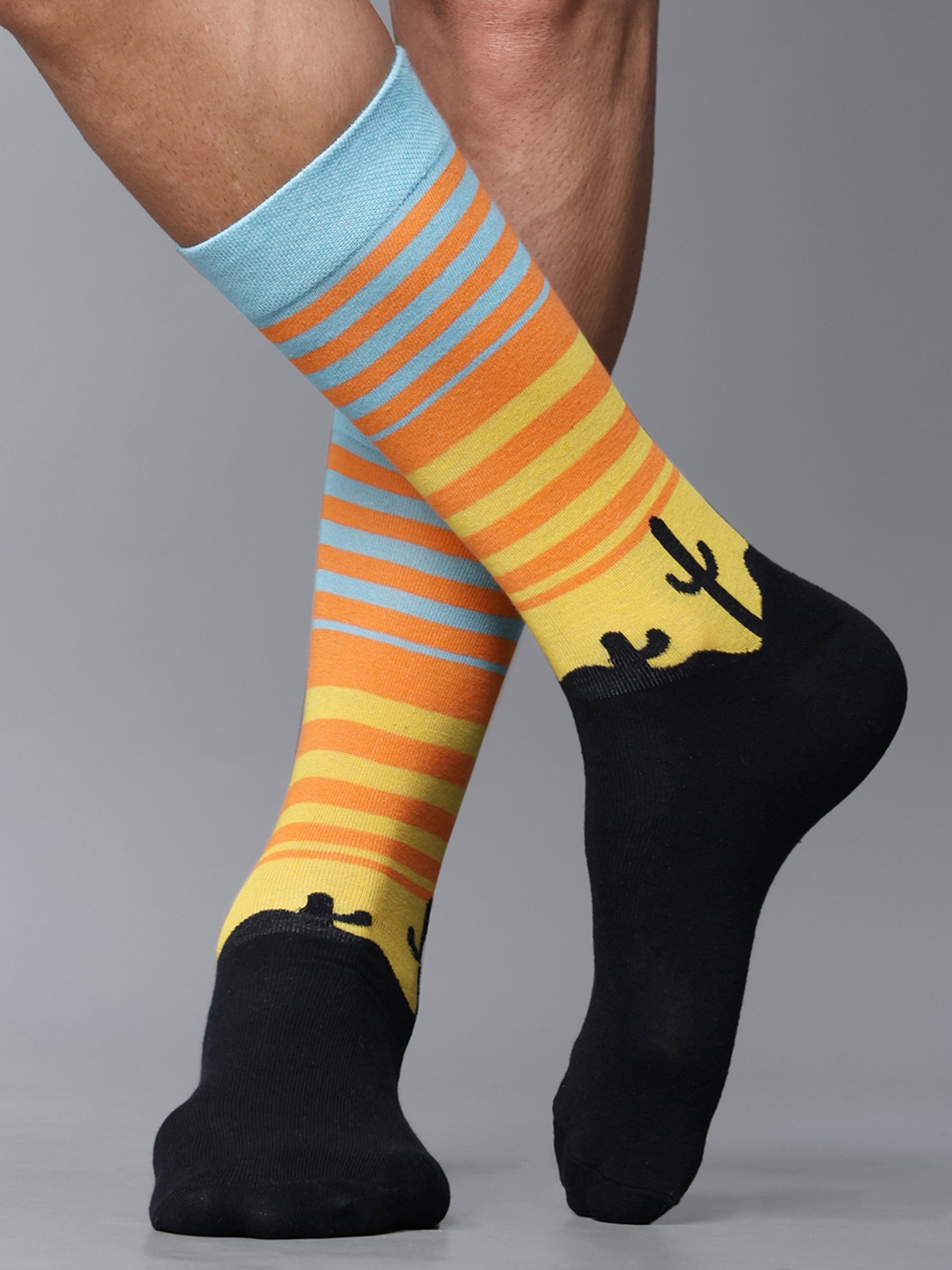 Dollar Socks For Mne's Casual Full Length In (Pack of 5)