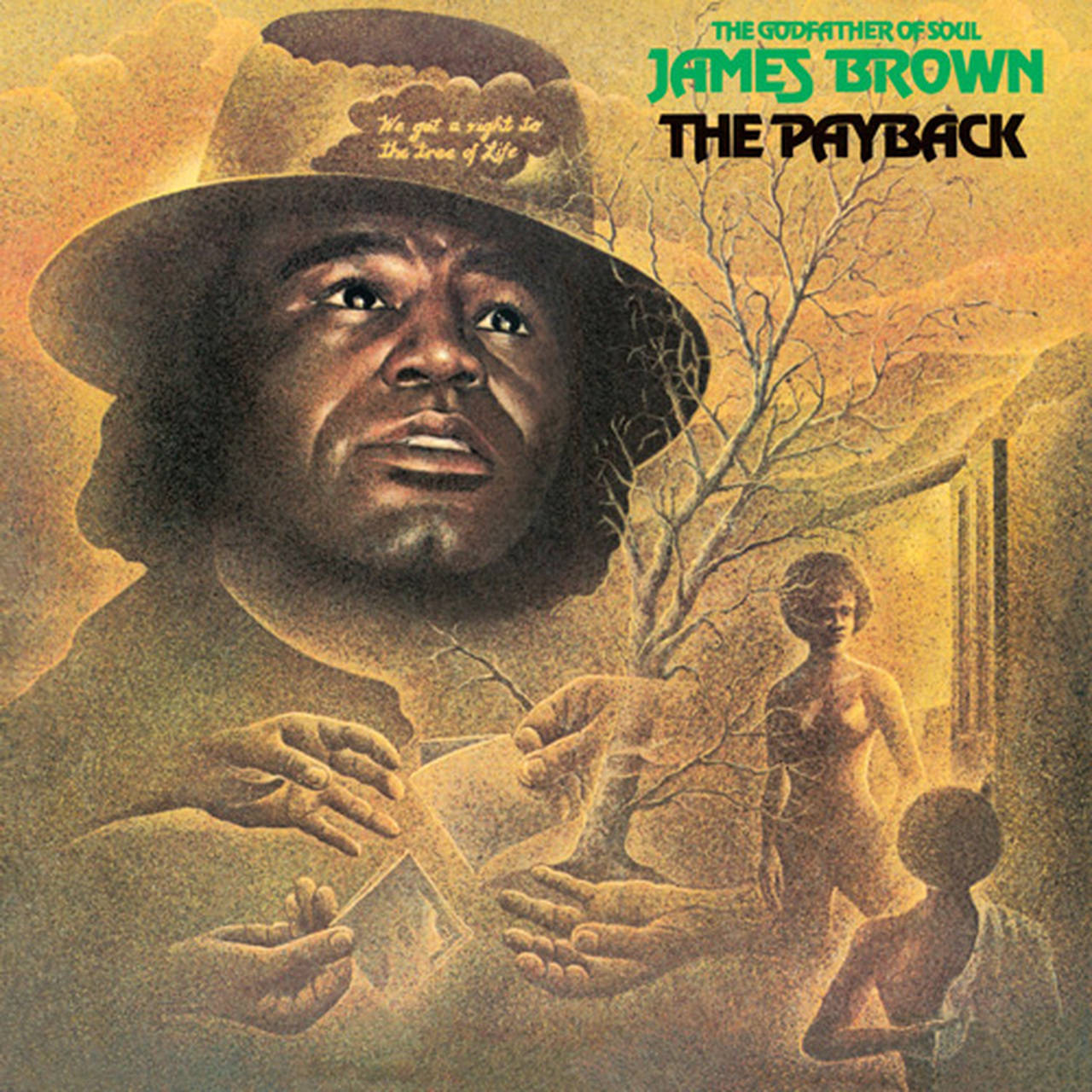 James Brown The Payback 180g 2LP (Vinyl)