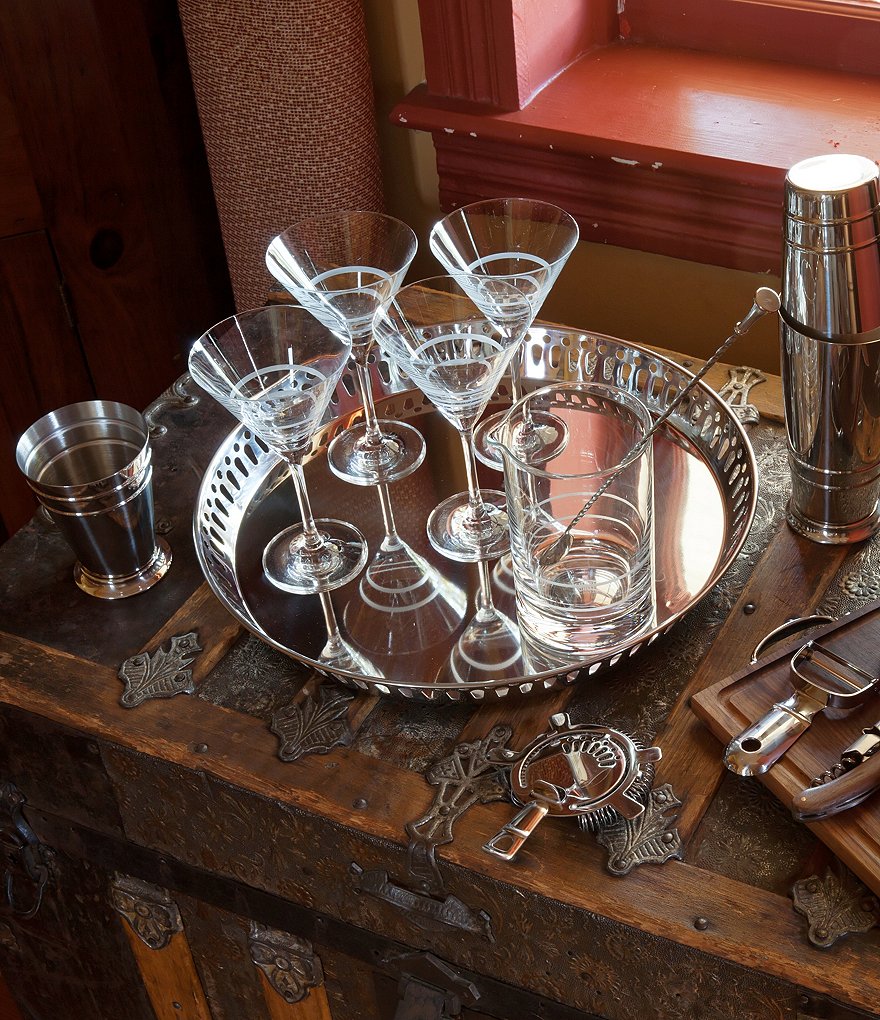 Crafthouse by Fortessa 4-Piece Tritan&reg; Martini Glass Set