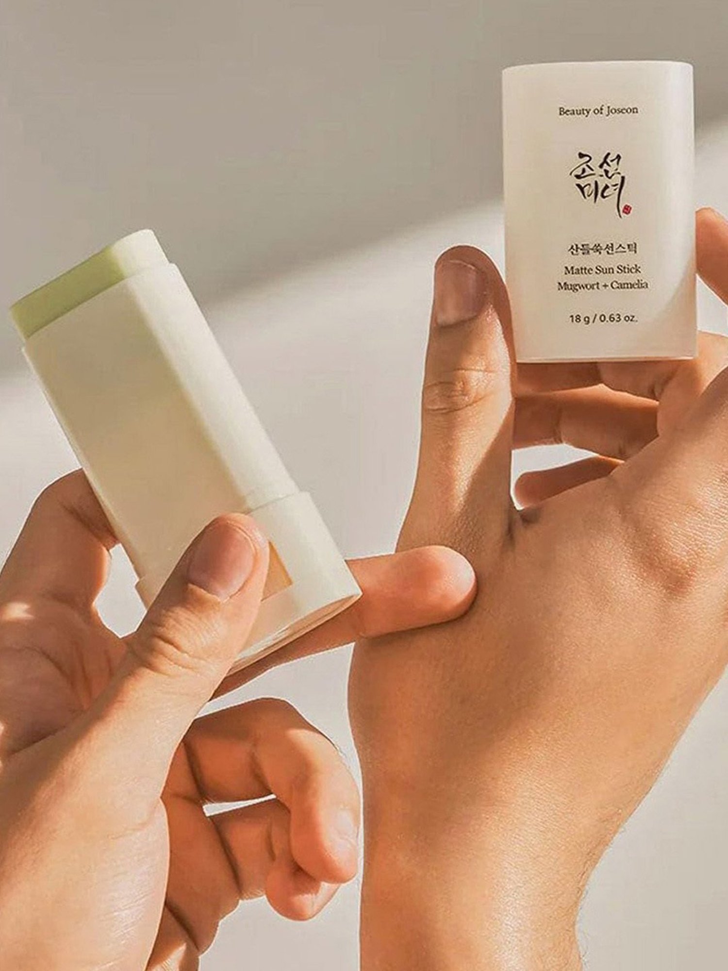 Beauty of Joseon Mugwort + Camelia Matte Sun Stick - 18 gm