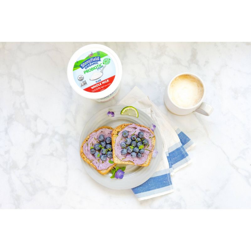 Stonyfield Organic Smooth & Creamy Whole Milk French Vanilla Greek Yogurt - 32oz