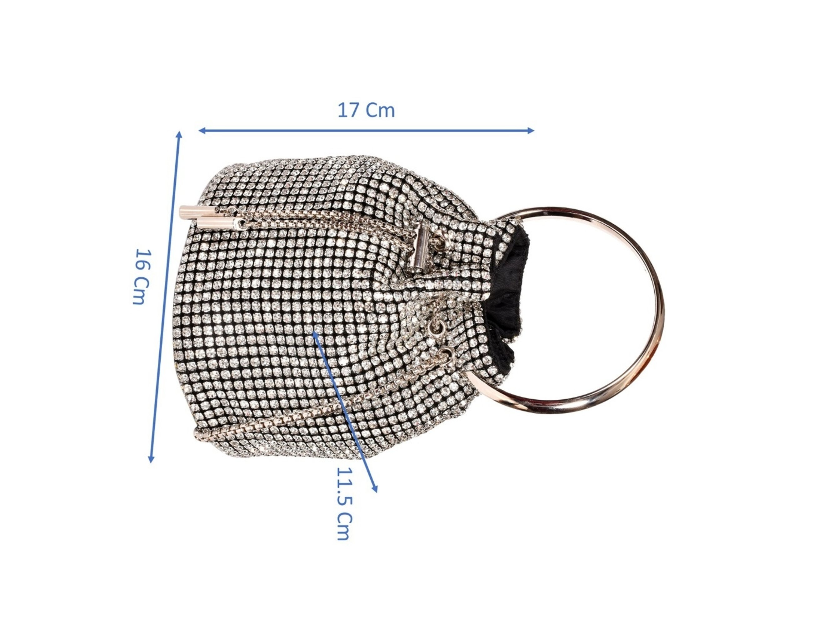 SASSORA RIM Silver Leather Embellished Handbag