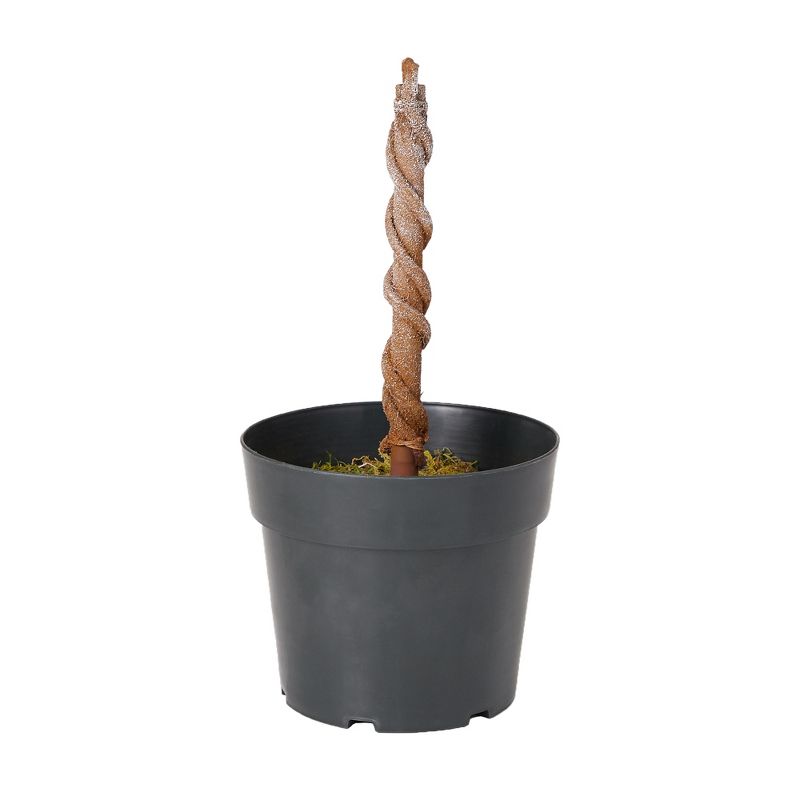 Home Heritage 4 Foot Artificial Tree w/ Lights + 4 Ft Spiral Pine Tree w/ Lights