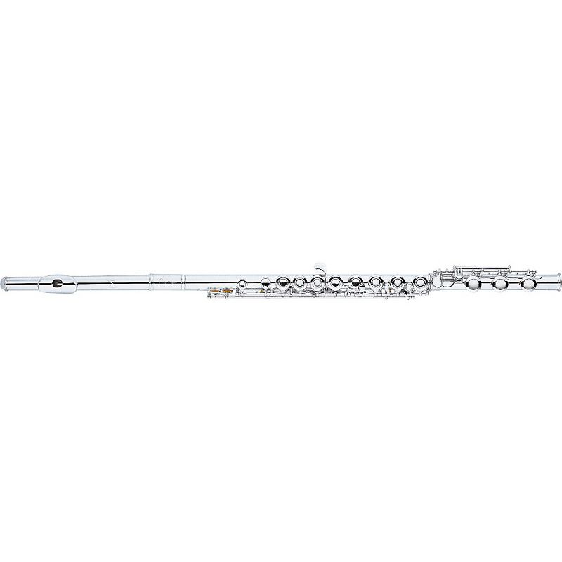 Allora AFL-250 Student Series Flute Offset G C-Foot