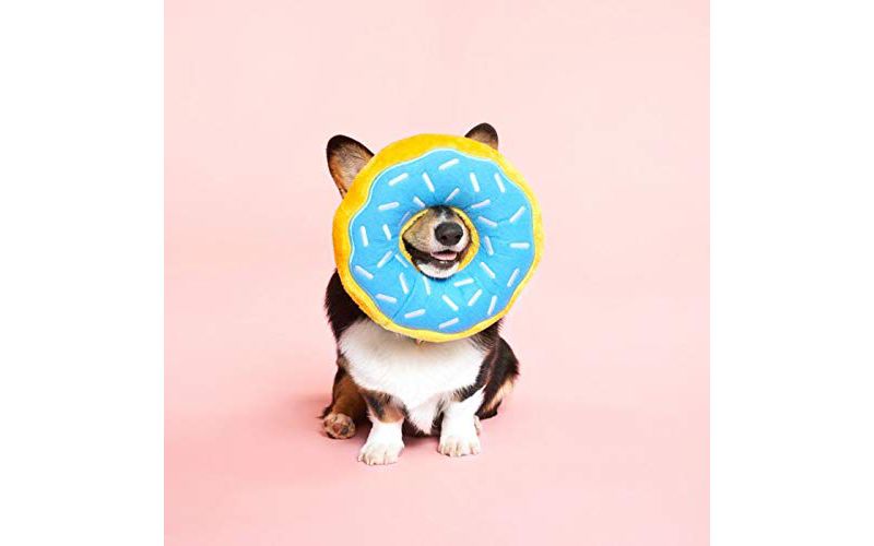 ZippyPaws - Jumbo Donutz Stuffed Squeaky Plush Dog Toy - Blueberry