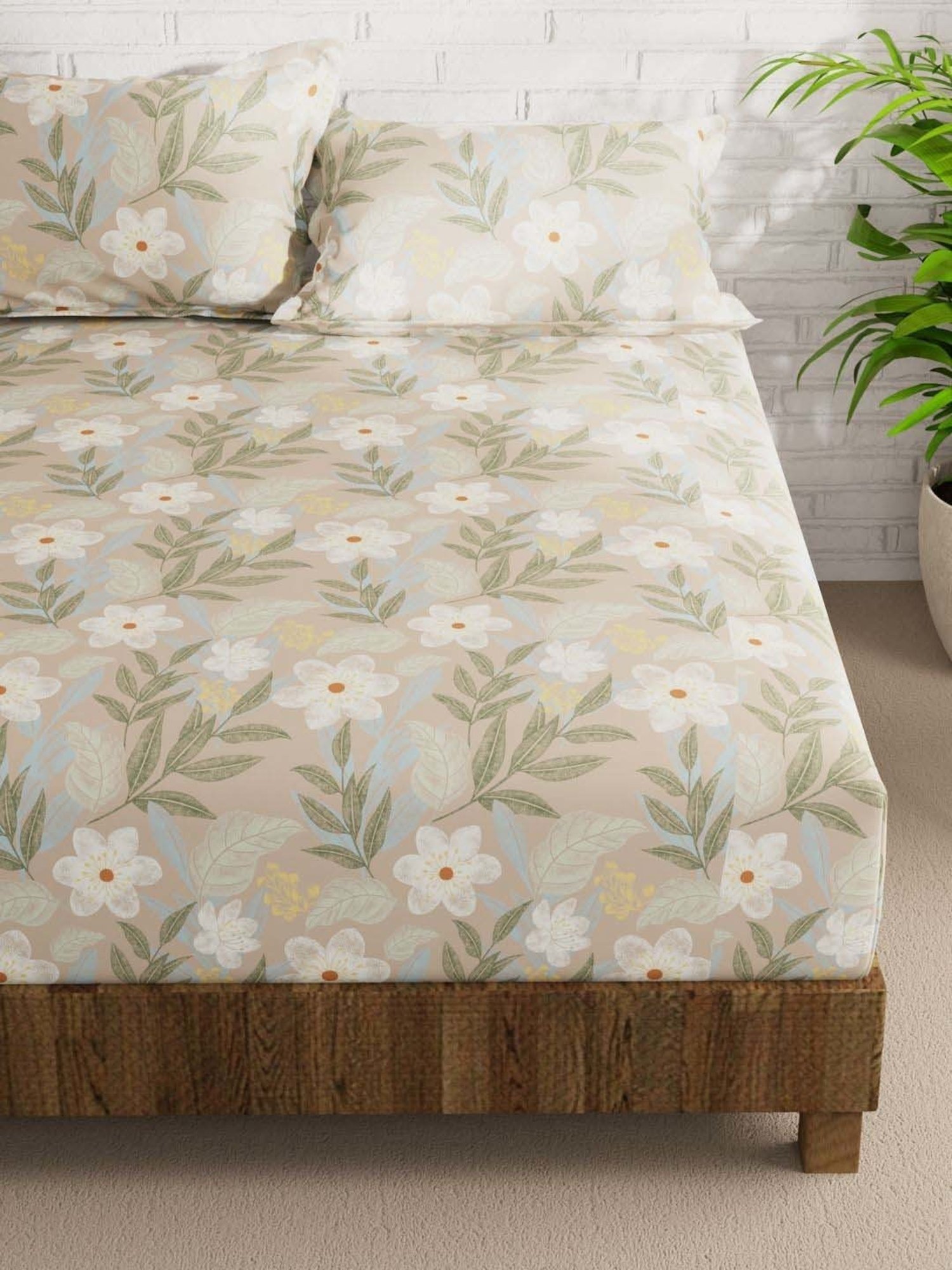 Bianca Envogue Sand 152 TC Micro Fabric Double Bedsheet with 2 Pillow Covers