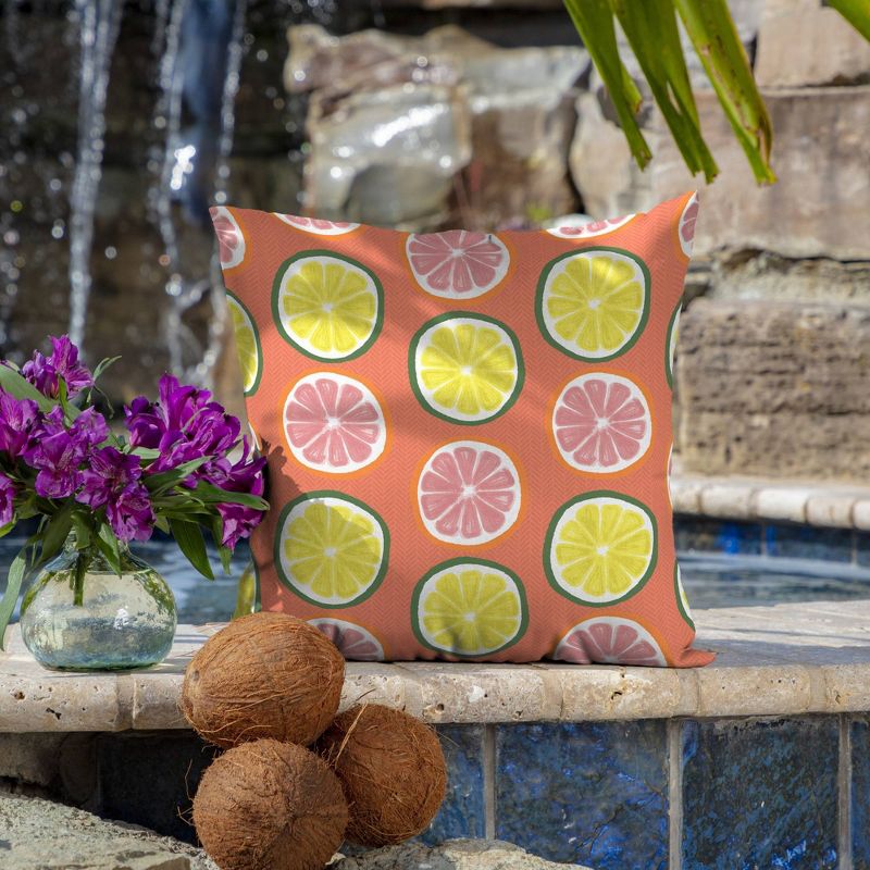 Arden Selections 16" x 16" Outdoor Decorative Throw Pillow Watercolor Citrus