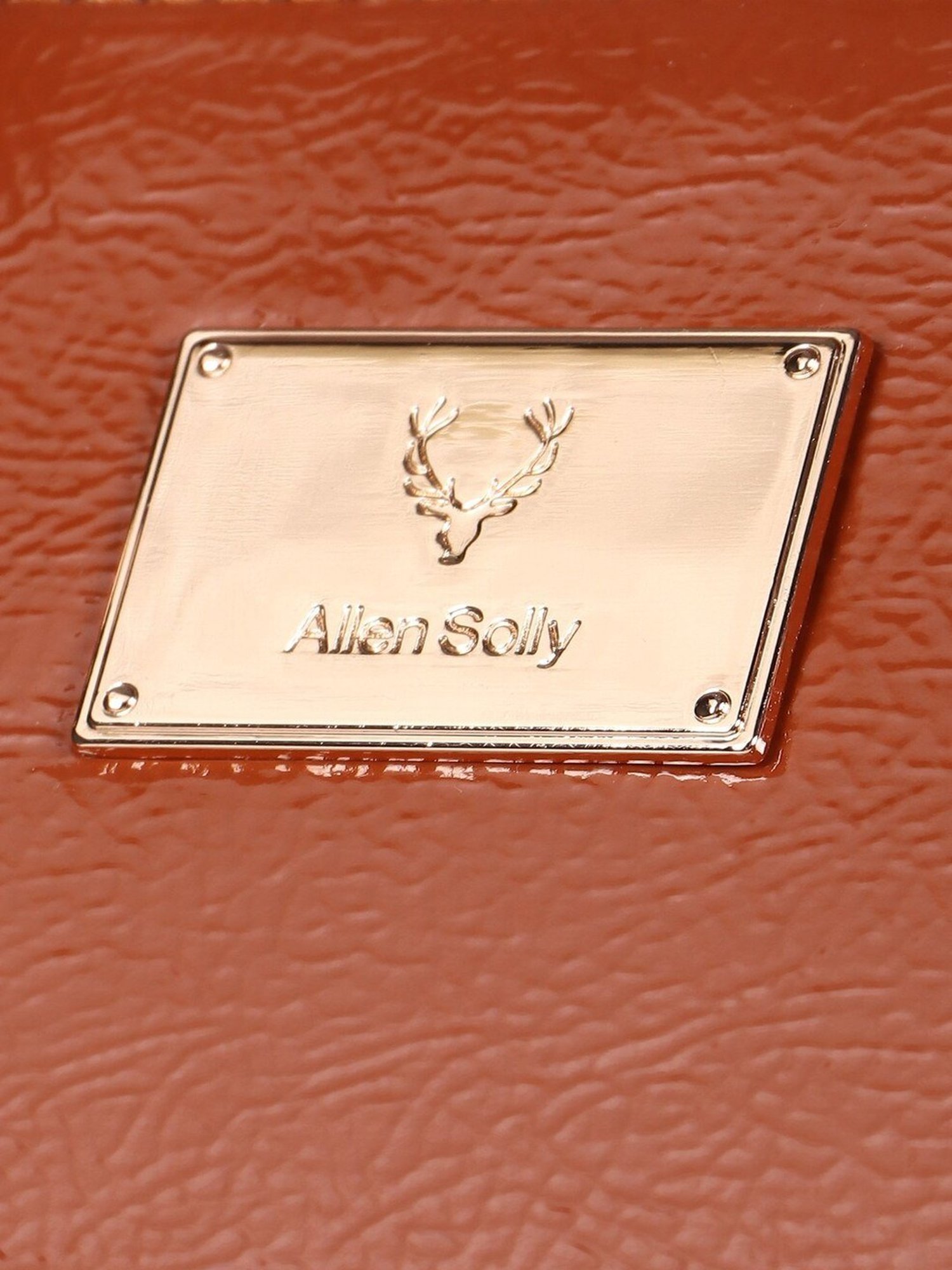 Allen Solly Brown Solid Medium Handbag