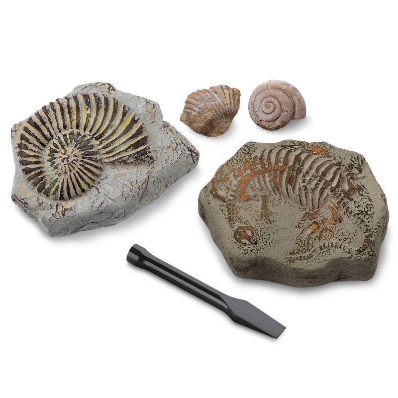 Discovery Kids Toy Excavation Science Kit Mini Fossil 2pc