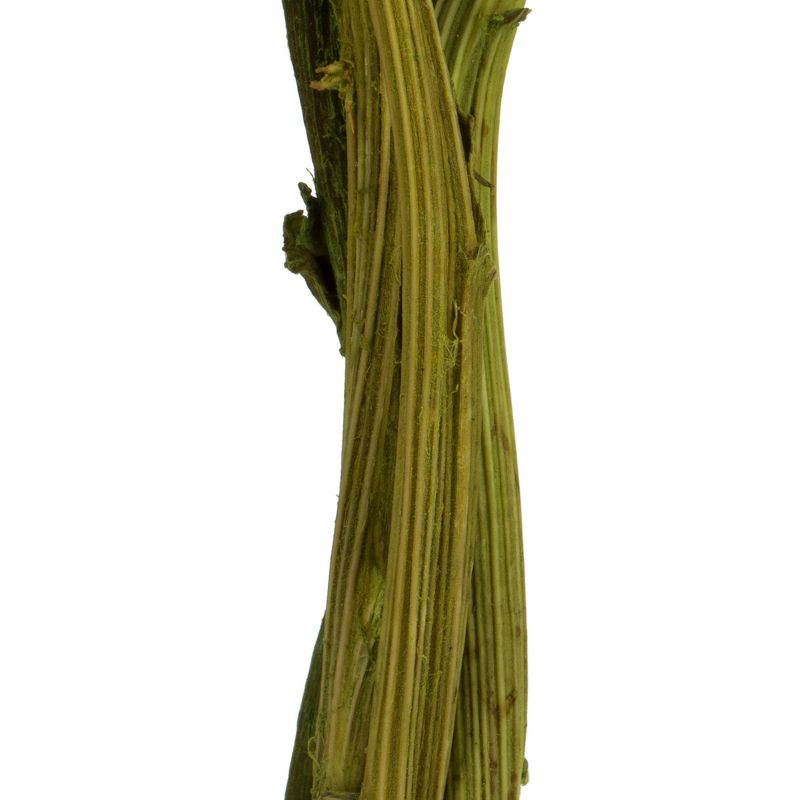 Vickerman 12" Basil Artichokes- Decorative Nat Stem, 5 stems, Dried