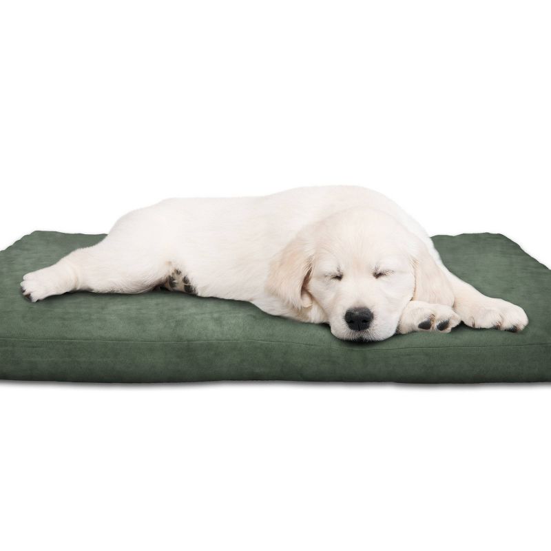 Poly Felt Round Beds For Dogs & Cats - S - Boots & Barkley™