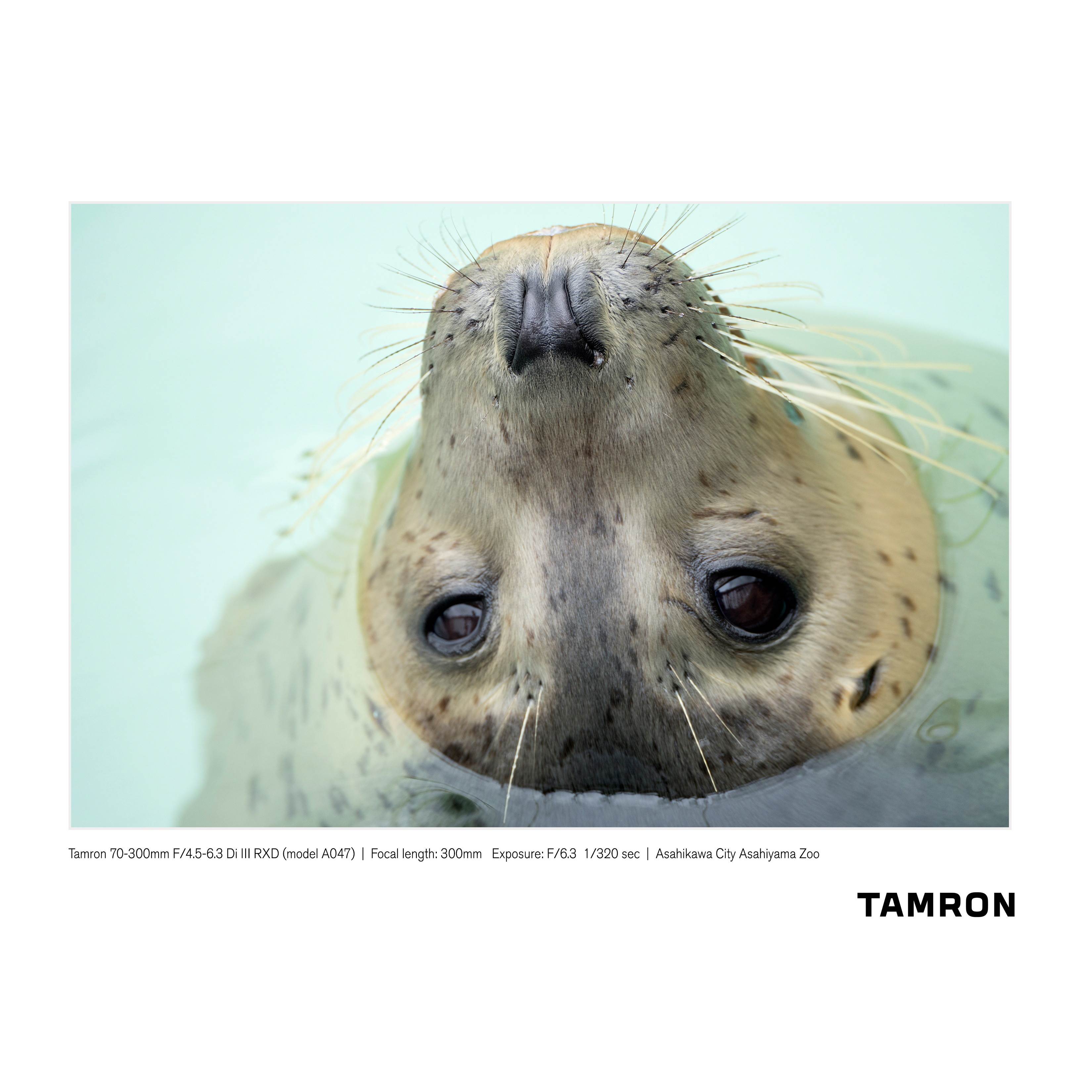 Tamron 70-300mm F/4.5-6.3 Di III RXD Lens A047 f/ Sony E-mount Mirrorless Camera Bundle