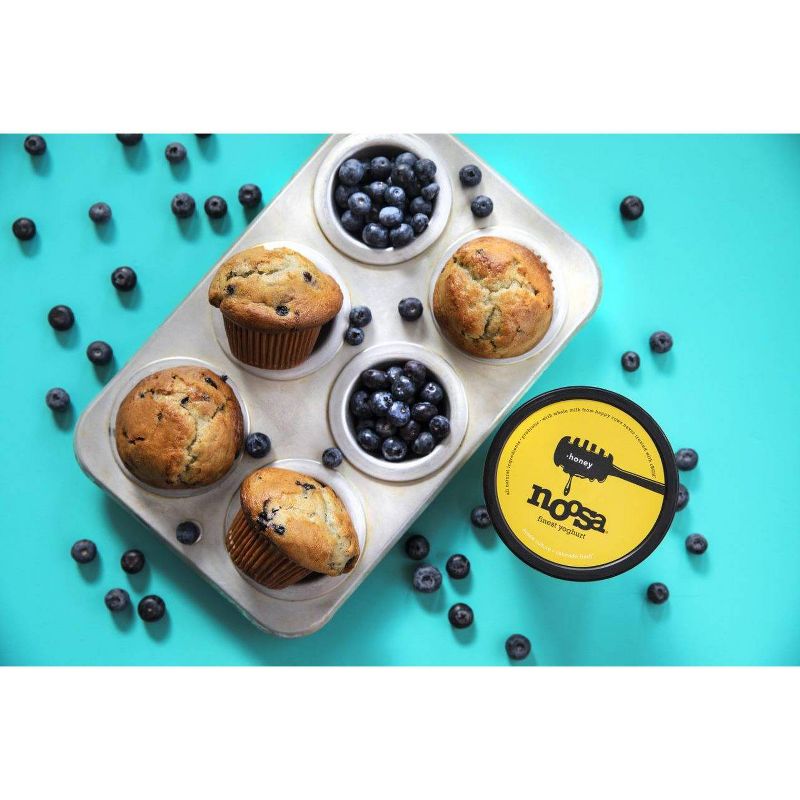 Noosa Honey Australian Style Yogurt - 24oz