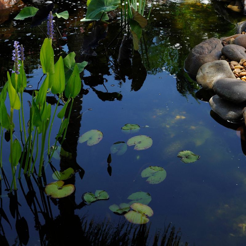 7.75" Pond Boss Pond Skins Pond Liner Patch Kit