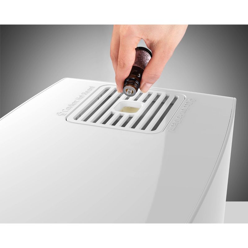 BONECO S250 Steam Humidifier With Integrated Hygrometer And Conveience Cleaning Mode