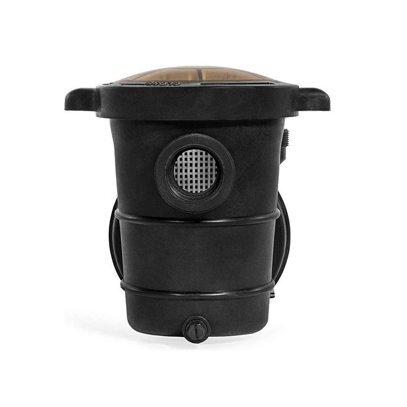 Blue Torrent Maxiforce 1 HP Dual Speed Pump with Manual On Off Switch for In Ground Swimming Pools, 75 GPM, 115V or 230V Plug, 2 Inch Threads