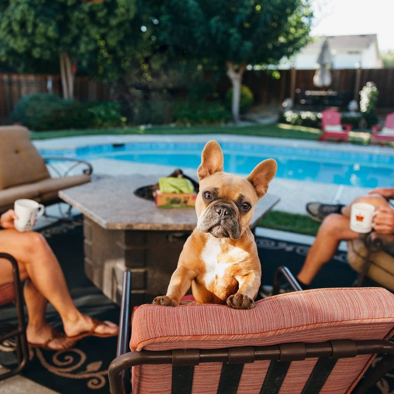 Arm & Hammer Fresh Scent Waste Bags with Bone Dispenser - 30ct