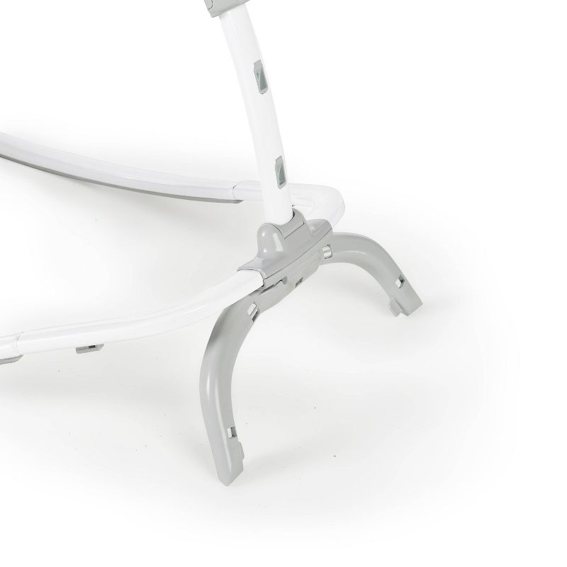 ​Fisher-Price Baby Bouncer