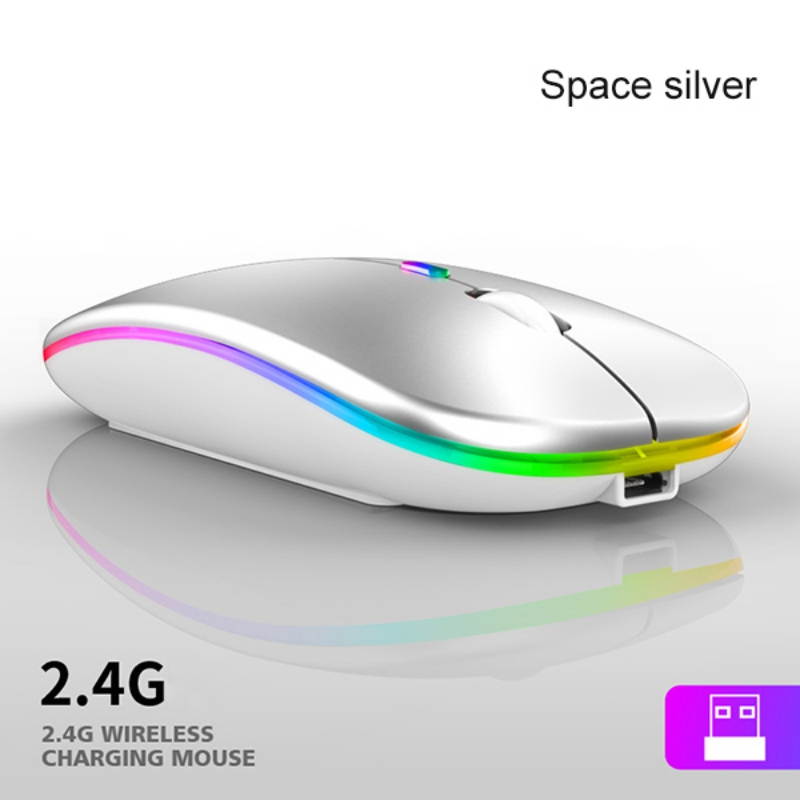 LED Wireless Mouse Slim Rechargeable Wireless Silent Mouse, 2.4G Portable USB Optical Wireless Computer Mice with USB Receiver and Type C Adapter