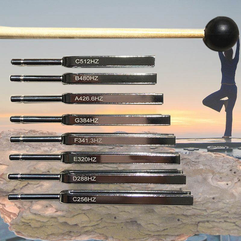 Physics Vibration Sound Tuning Fork Set Lightweight Steel Medical Diagnostic
