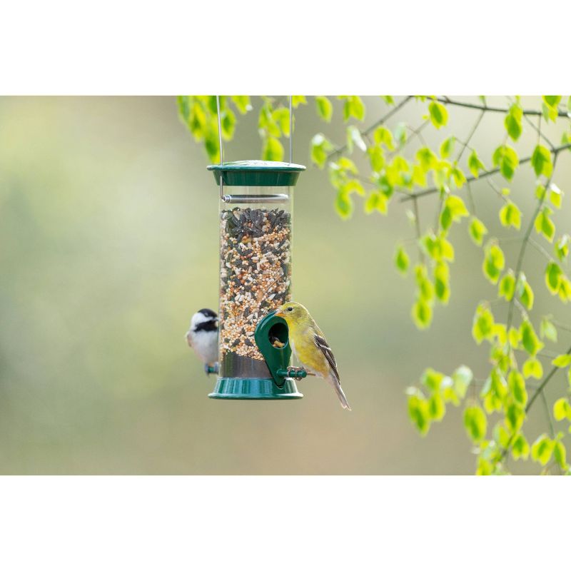 Droll Yankees New Generation 8" Sunflower/Mixed Seed Feeder - Green