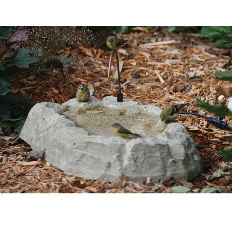 Birds Choice 5" Rocky Mountain Ground Level Birdbath with Dripper
