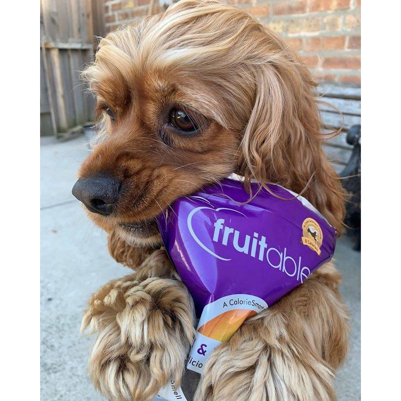 Fruitables Baked Pumpkin and Blueberry Flavor Healthy Low Calorie Dog Treats - 7oz