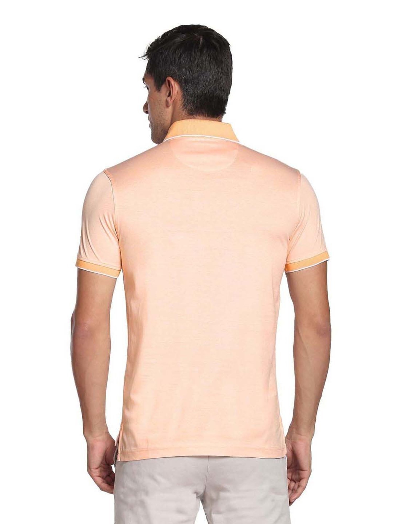 Arrow Peach Cotton Regular Fit Striped Polo T-Shirt