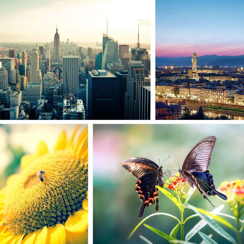 Phone Camera Lens Pro - ANGFLY 4K HD 2 in 1 Aspherical Wide Angle Lens & Super Macro Lens,Clip-On Cell Phone Camera Lenses Compatible with iPhone,Android,Samsung Mobile Phones and Tablets