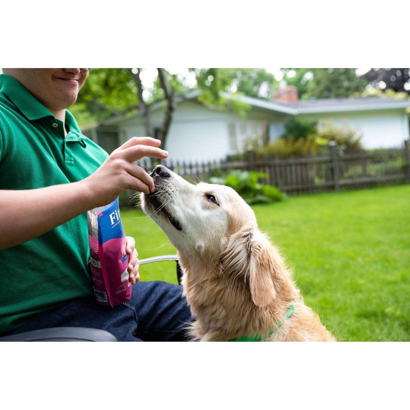 Finley's All Natural Turkey Soft Training Bite Dog Treats - 16oz