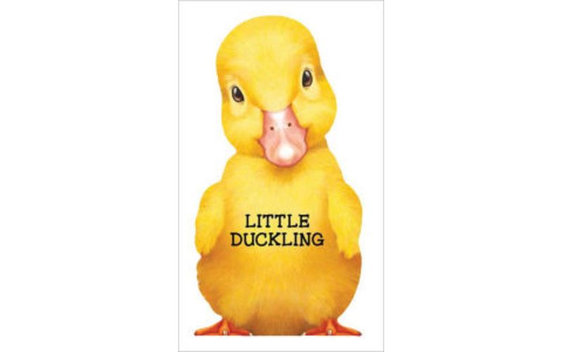 Little Duckling (Giovanni Caviezel) (Board Book)