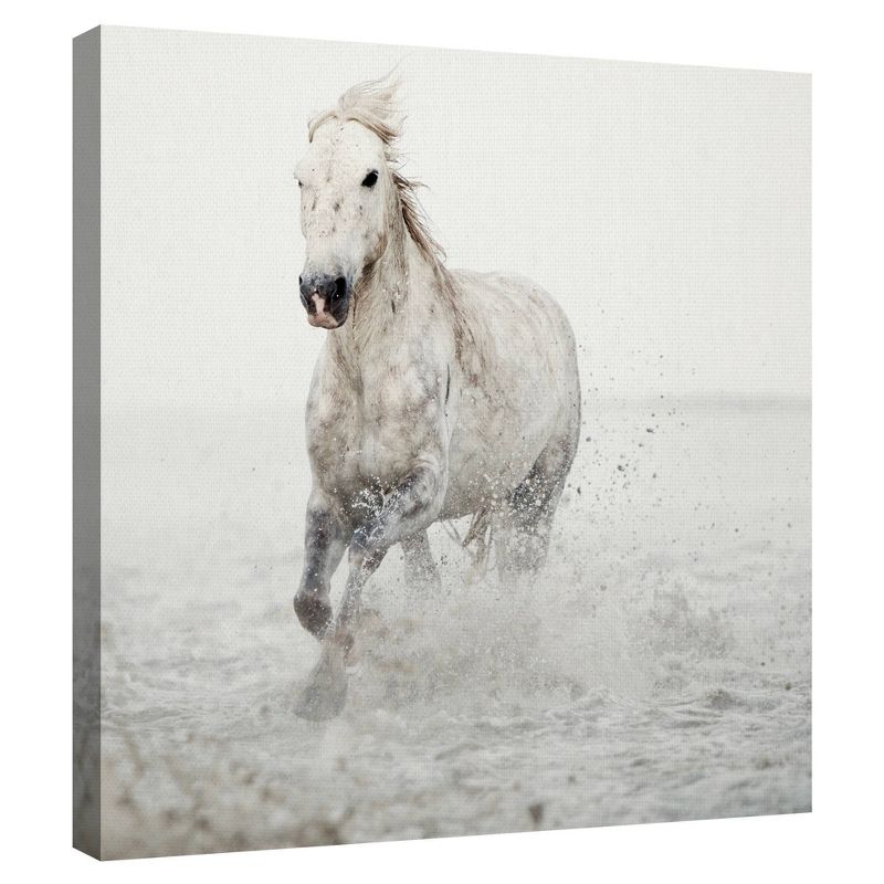 30" x 30" Solo Surf Detail by Irene Suchocki Unframed Wall Canvas - Masterpiece Art Gallery