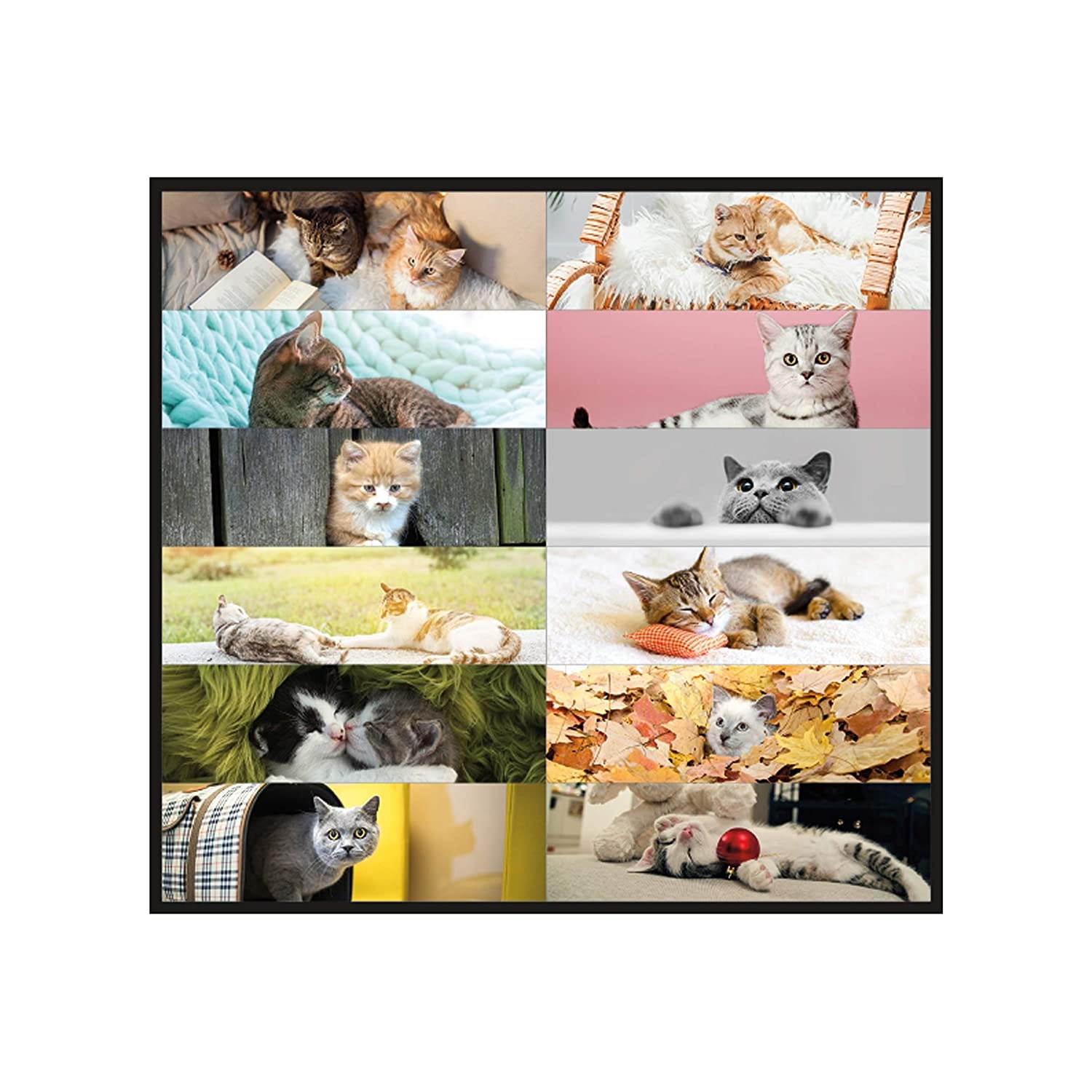 Blueline 2021 Monthly Desk Pad, 22 x 17 inches, Furry Collection (C194115-21)