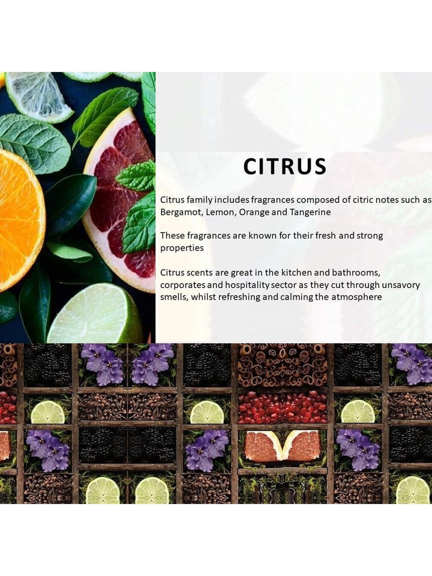 Rosemoore Scented Tea Lights Bergamot & Geranium Tea Lights - 9 Piece