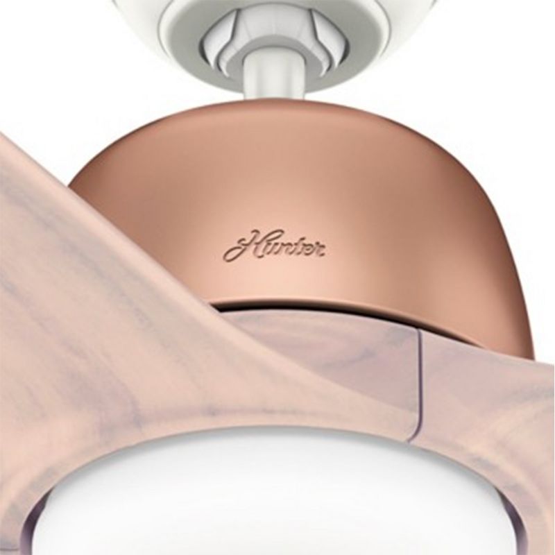 Hunter Fan Company Norden 54-Inch Scandinavian Style Multiple Speeds Ceiling Fan, Satin Bronze