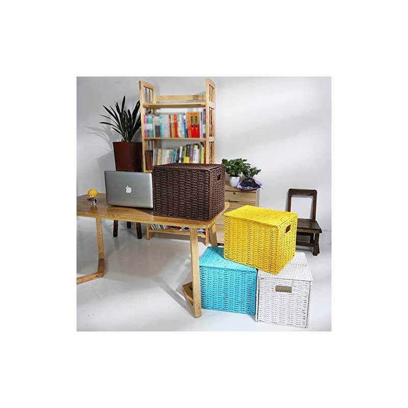 File Storage Organizer, Letter Size Hanging File Box Organizers with Lid，Decorative Seagrass Filing & Storage Office Box | Letter Size (3 Color)