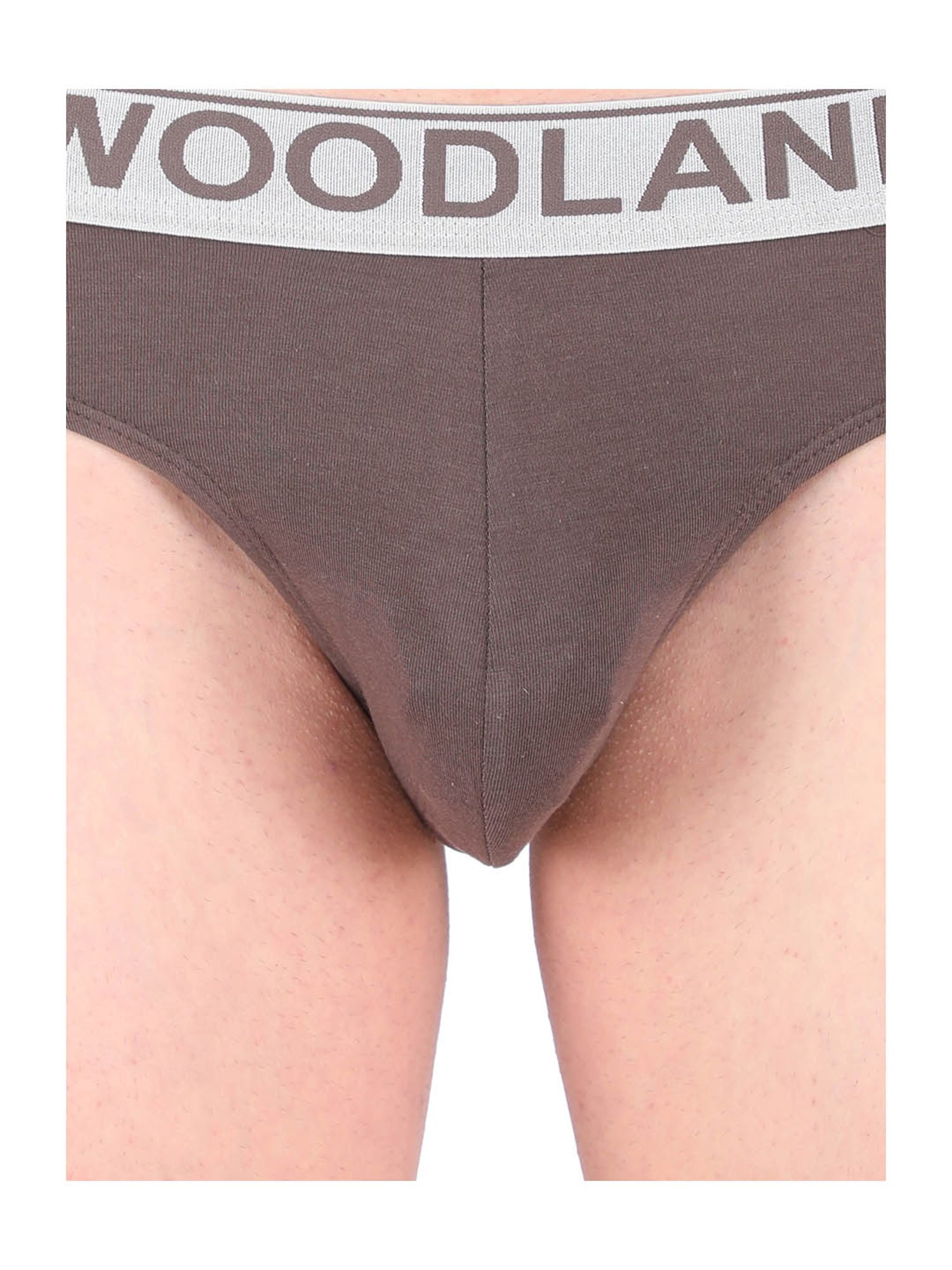 Woodland Brown Printed Briefs