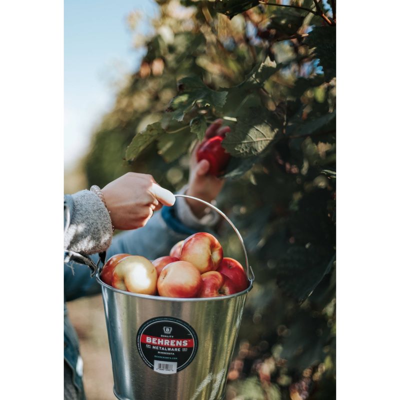 Behrens 5qt 3pk Galvanized Steel Pail Silver