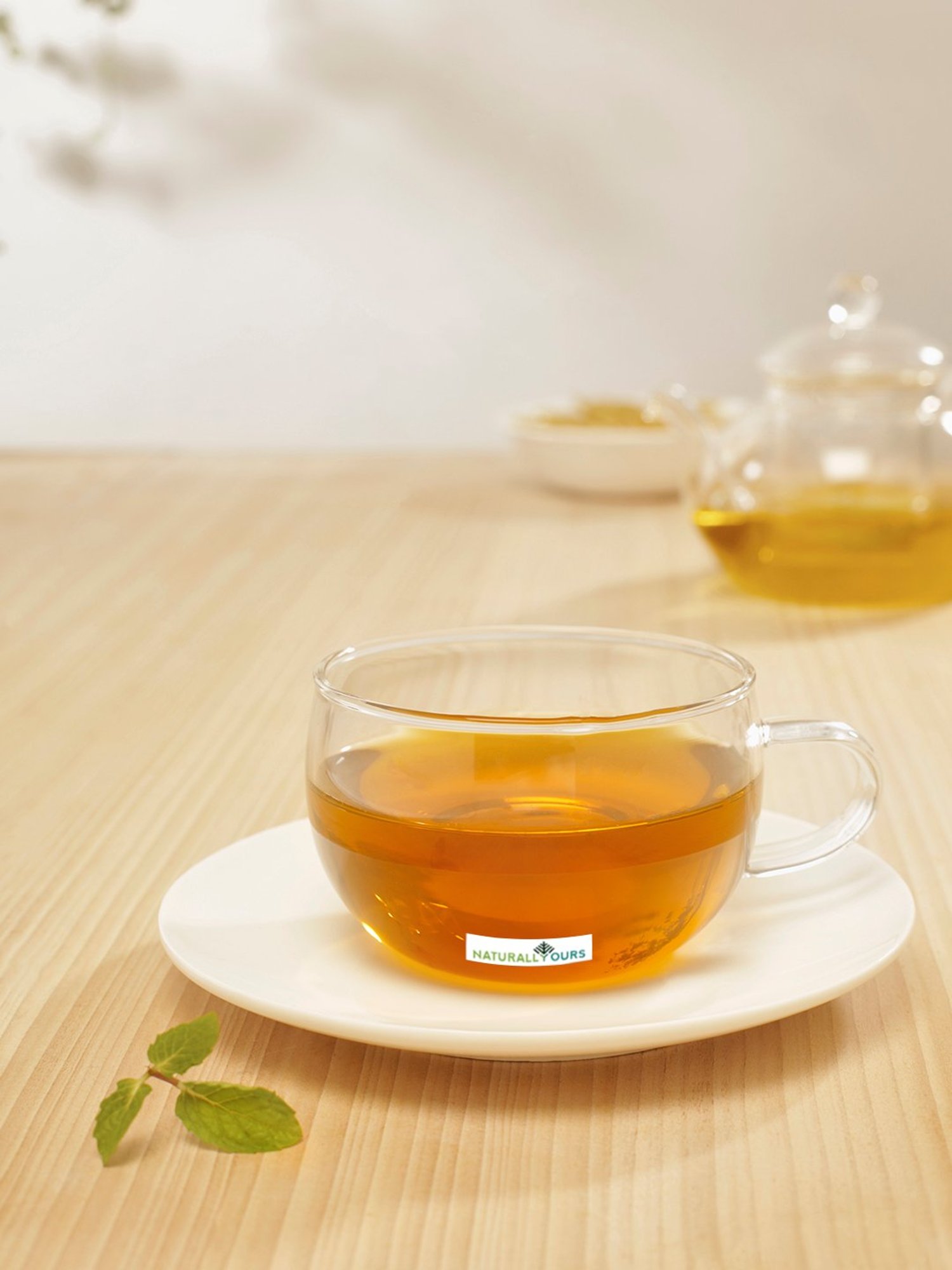 NATURALLYOURS Borosilicate Glass Cup with Porcelain Saucer Set