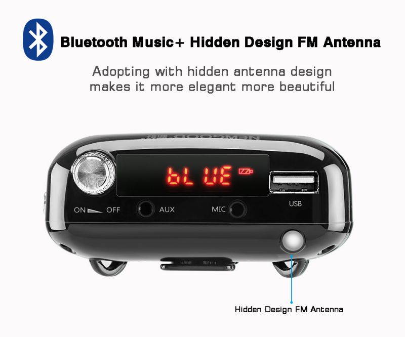 NEWGOOD Bluetooth loudspeaker Portable Wired Waistband Voice Amplifier with FM Radio for School Teachers Classroom Yoga Coach Training (black)