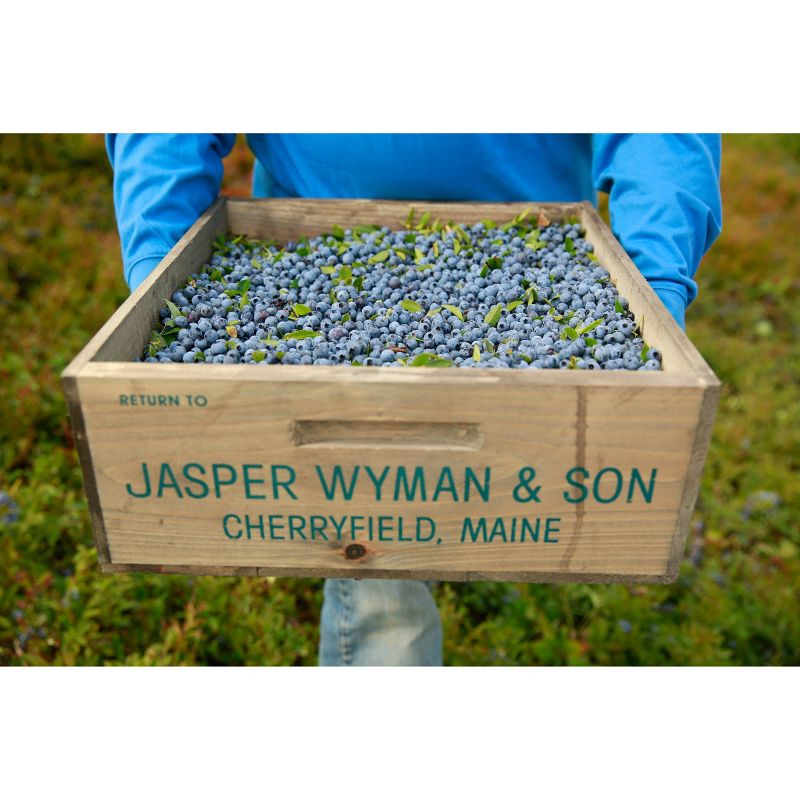 Wyman's Fresh Frozen Wild Blueberries - 3lb